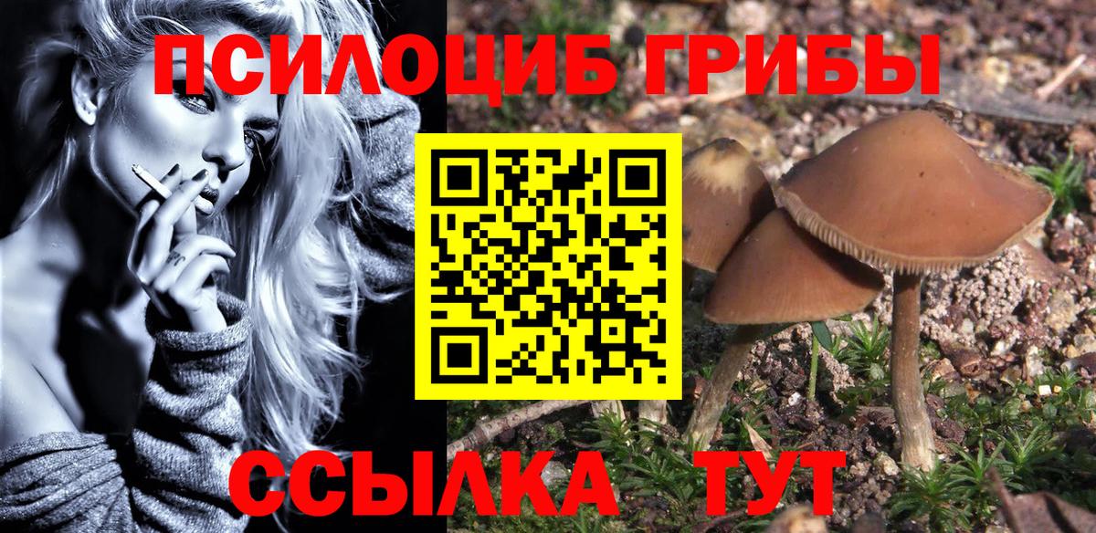 Кушва  Галлюциногенные грибы прущие грибы  Галлюциногенные грибы GOLDEN TEACHER  Вход с VPN 