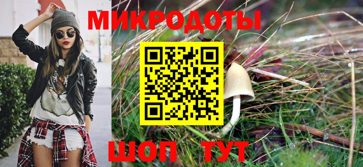 Галлюциногенные грибы мухоморы Кушва